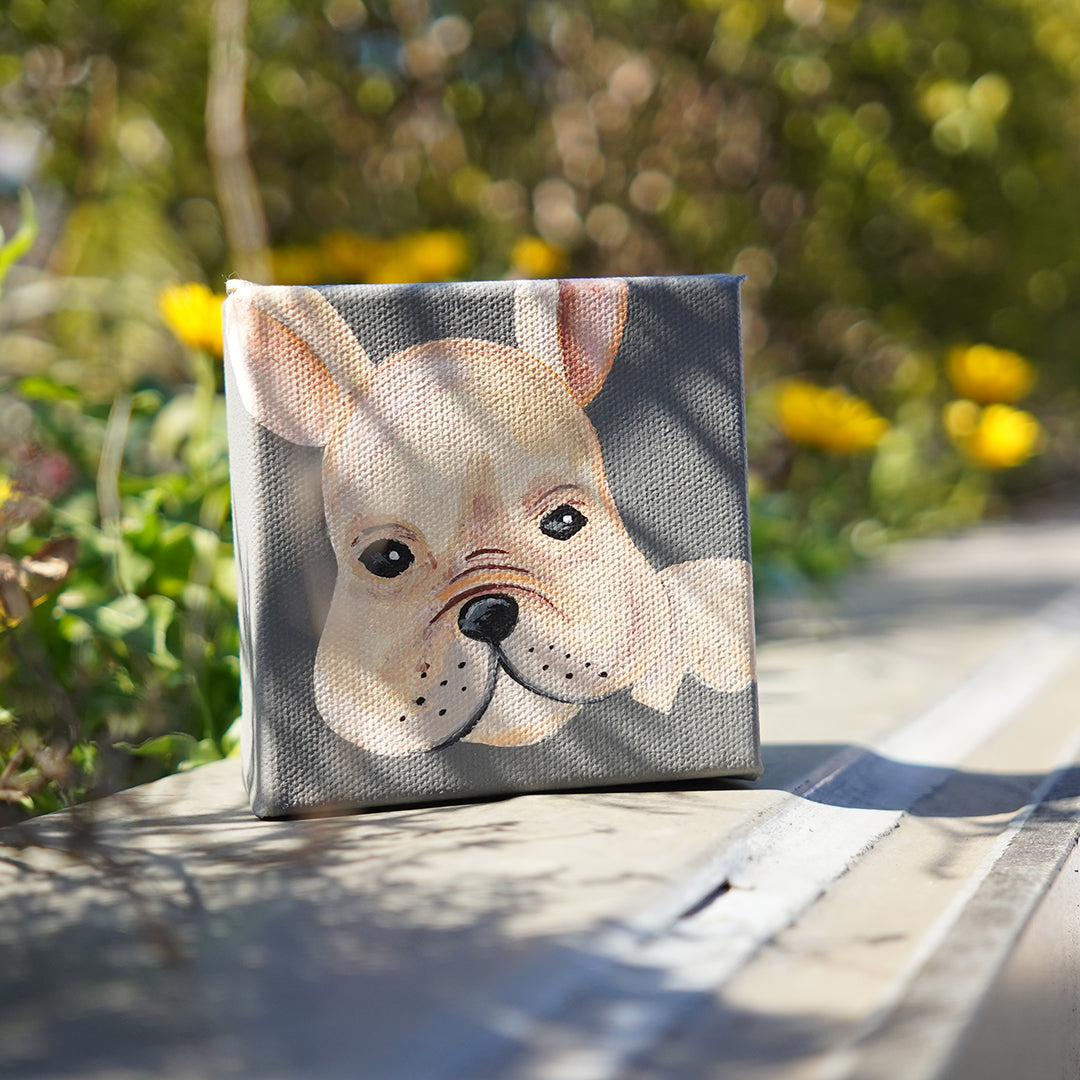 ODER ] DOG CANVAS 